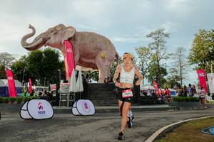 BIB: 
                            <button type="button" onclick="openModal(26529198)" class="btn btn-primary btn-sm float-right btn-popup" data-toggle="modal" data-target=".modal-high-quality">
                        <i class="fas fa-shopping-cart"></i> Add to Cart
                    </button>
                                            <button type="button" onclick="isThisMe(26529198, true)" class="btn btn-success btn-sm float-right btn-popup btn-isme hidden" data-toggle="tooltip" data-placement="bottom" title="นี่คือรูปของคุณใช่ไหม คลิกที่นี่เพื่อเอาเข้าอัลบั้ม">
                        <i class="fas fa-plus"></i> Add to album
                    </button>
                    <button type="button" onclick="isThisMe(26529198, false)" class="btn btn-warning btn-sm float-right btn-popup btn-isnotme hidden">
                        <i class="fas fa-ban"></i> Remove from album
                    </button>